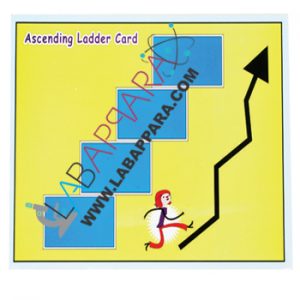 Ascending Card Game, Mathematics Laboratory Equipment, Educational Equipments, manufacture exporters, Pattern Block, Educational Maths Lab instruments, Mathematics Laboratory Equipment,Educational Equipments, manufacture exporters, School equipments, Supplier Exporter, educational equipments, india