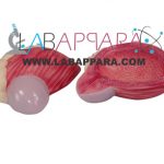 Model Of  Male Urinary Bladder